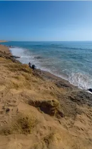  ??  ?? La plage de Sauveterre, à Olonnesur-mer. Cachée par la forêt domaniale, elle a pu préserver sa beauté sauvage.