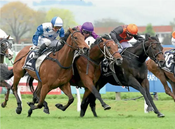 ??  ?? Hard Merchandiz­e (third left) wins the Hawke’s Bay Guineas from Bostonian (outside) and Jimmy Lincoln.