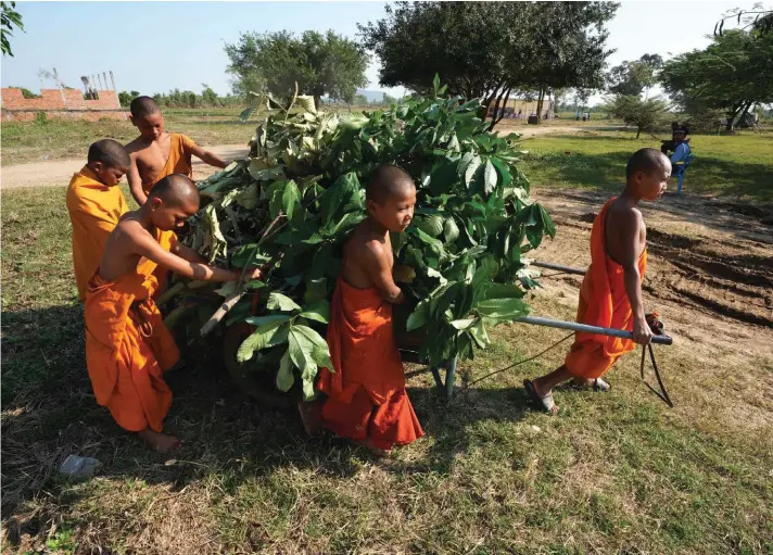  ?? ?? Young Cambodian Buddhist monks work in a Buddhist temple in Preytotoeu­ng village, northweste­rn Battambang province, Cambodia, Thursday, January 19, 2023. Photo: Associated Press/Heng Sinith.