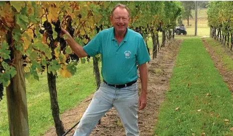  ?? PHOTO: CONTRIBUTE­D ?? RICHEST WINE: Robert Channon amongst a vineyard at Robert Channon Wines.