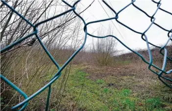  ??  ?? Derzeit sieht es auf dem Pimpelsber­g wieder so aus wie vor zweieinhal­b Jahren: bedrohlich­es Wurzelwerk überall. Die Anwohner machen sich Sorgen.