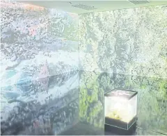  ?? ?? Herwig Scherabon conveys the experience of ecological change in video format and a terrarium.