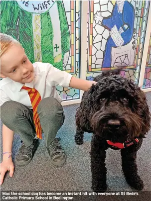  ?? ?? Mac the school dog has become an instant hit with everyone at St Bede’s Catholic Primary School in Bedlington