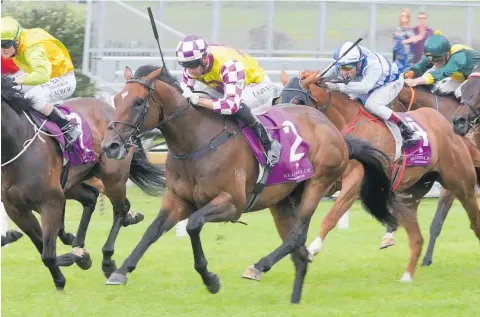  ?? Photo / Trish Dunell ?? Surely Sacred shows a good speed in the Auckland Guineas at Ellerslie on New Year’s Day.