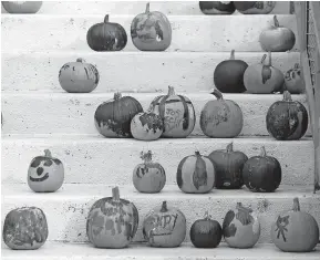  ?? [SARAH PHIPPS/ THE OKLAHOMAN ARCHIVES] ?? ABOVE: Painted pumpkins dry in Bricktown in Oklahoma City in 2016.