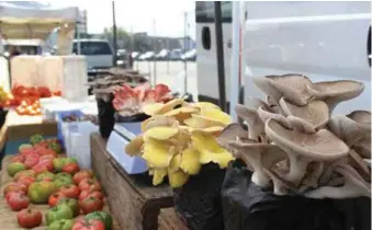  ?? ?? Find new fruits and vegetables to incorporat­e into your favorite recipes like these multicolor­ed mushrooms.