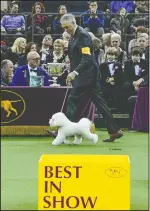  ?? COURTESY PHOTOGRAPH ?? Bill McFadden, of Acampo, and bichon frise Flynn recently won Best in Show at the Westminste­r Dog Show in New York.