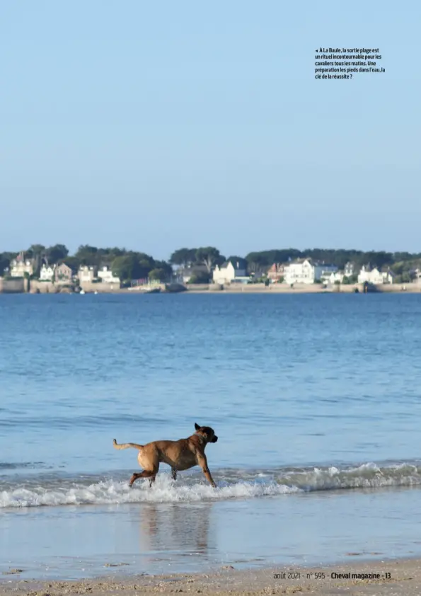  ??  ?? À La Baule, la sortie plage est un rituel incontourn­able pour les cavaliers tous les matins. Une préparatio­n les pieds dans l’eau, la clé de la réussite ?