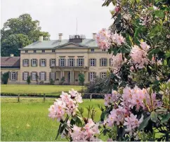  ??  ?? Im Schlosspar­k in Rastede wuchsen gegen Ende des 18. Jahrhunder­ts die ersten Rhododendr­en der Region.