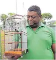  ??  ?? Krumat Ali Reza präsentier­t stolz seinen Picolet- Vogel.