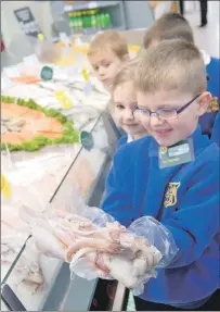  ?? Photograph: Abrightsid­e Photograph­y. ?? Aaron Laverty, P1, has fun getting up close to some of the seafood sold at Morrisons fish counter as part of Caol Primary School’s Money Week.