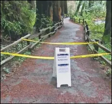  ?? Associated Press ?? A sign indicates a trail is closed at the entrance to the Muir Woods National Monument in Marin County. Authoritie­s say a Redwood tree fell and fatally struck a man visiting the park on Christmas Eve.