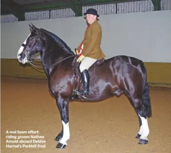  ??  ?? A real team effort: riding groom Nathan Arnold aboard Debbie Harrod’s Parkhill Fred