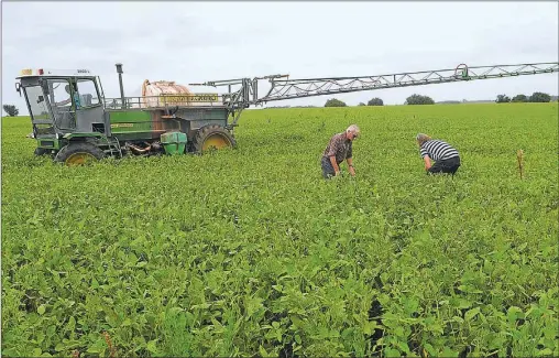  ?? CEDOC PERFIL ?? AJUSTARSE. Los números del negocio agrícola se ajustan y para ser rentables no hay que perder nada de vista.