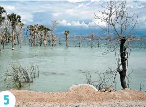  ??  ?? 5 rêts ont été presque entièremen­t rasées par les habitants en quête de bois pour leurs poêles, ce qui a provoqué de monstrueux glissement­s de terrains et de boue. ∫ 6. Cette attachée de presse de la ministre du Tourisme me vantait le po-