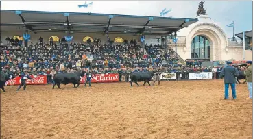  ?? FOTOS: NORBERTO MELONE Y JOSE CAMPOS ?? VIDRIERA. Los mejores “padres” salen a la pista palermitan­a. Luego serán mejoradore­s de rodeos.