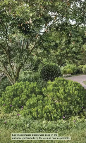  ??  ?? Low-maintenanc­e plants were used in the entrance garden to keep the area as neat as possible.