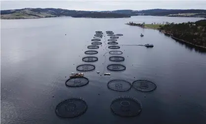  ?? Photograph­y/Getty Images/iStockphot­o ?? Salmon ponds off Bruny Island in Tasmania. Photograph: LKR