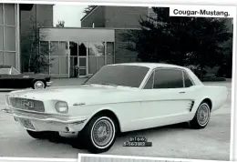  ??  ?? Cougar-Mustang.