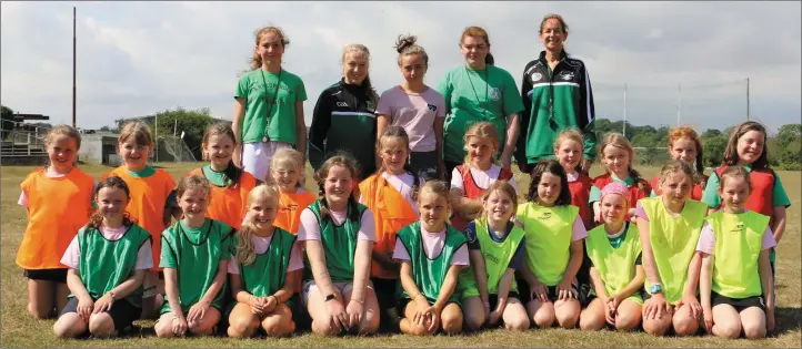  ??  ?? ALL SMILES: A happy group of girls at the Arklow Rock Parnells hurling camp.