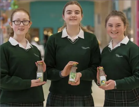  ??  ?? Pictured at the Dundalk Cross-Border Student Enterprise Trade Fair at Marshes Shopping Centre, were St Louis Secondary School pupils: (l-r): Rebecca McGuirk, Hannah Pheifer and Natasha Kearney. Picture: Fintan Clarke