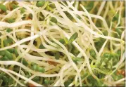  ?? METRO CREATIVE ?? Choosing low-FODMAP foods, such as bean sprouts, can provide relief for those with irritable bowel syndrome.