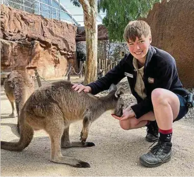  ?? ?? Tierpflege­rin Jessica Dick mit einem Känguru im Wild Life Sydney Zoo.