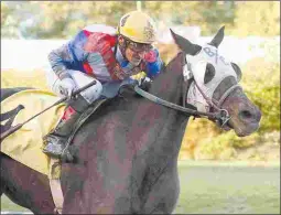  ?? FOUR-FOOTED FOTOS ?? Notis The Jewell comes into the B.C. Cup Distaff on a four-race win streak, including a victory in the Grade 3 Ballerina.