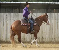  ??  ?? LEFT: A ranch riding back-up. My horse lifts his back and shoulders, and willingly backs up the designated number of steps. RIGHT: A reining backup. This time, he tucks his nose and hustles his feet backward with drape in the rein, per the style for...