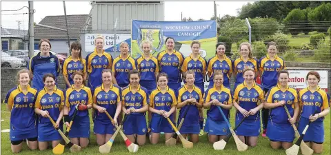  ??  ?? The Wicklow team who lost out to Westmeath in their opening game of the All-Ireland Junior championsh­ip. They face Dublin next.