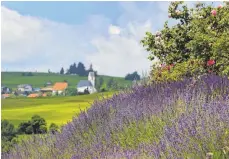  ??  ?? Der Ortsteil Mittelberg ist hinter dem Rosen- und Kräutergar­ten einer Manufaktur für Naturkosme­tik und ätherische Öle zu sehen.