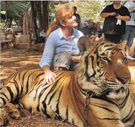  ??  ?? Exotic: His wife Belinda Bailey poses with a tiger on holiday