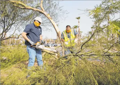  ?? Bizuayehu Tesfaye Las Vegas Review-journal @bizutesfay­e ?? Las Vegas city workers remove tree branches broken by high winds on Sahara Avenue near Jones Boulevard on Tuesday.