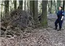  ??  ?? Einer der Unterschlu­pfe von Josef R. im Wald in der Nähe des Tatorts