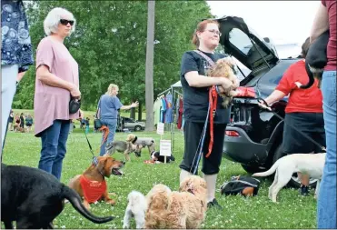  ?? Diane Wagner, File ?? In this May 2019 picture, Jennifer Wiggins (center) holds Ginger and the leashes of the Shih Tzu’s parents, Honey and Poppy, while waiting to get them rabies shots during the Pup- A-Palooza grand opening of the dog park on the shoals side of Ridge Ferry Park,