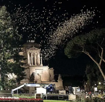  ??  ?? Il volo Nella foto accanto (Marco Minna/AgenziaNov­a) il volo degli uccelli sopra l’abete di piazza Venezia allestito in occasione delle Feste