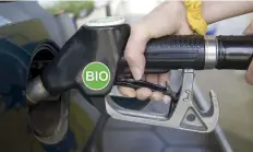  ??  ?? Current F1 fuel already contains a small amount of biofuel, that is any fuel derived from bio-mass