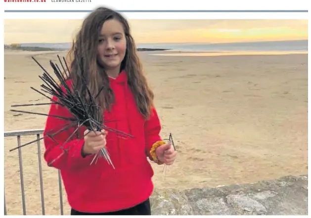  ??  ?? Mia Ward walks her dog on Porthcawl beach every day and last week she picked up nearly 70 sparklers in 10 minutes after the fireworks display the night before