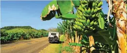  ??  ?? Durante el viaje se puede disfrutar de los hermosos paisajes naturales y la cultura que el país vecino tiene para ofrecer, como los interesant­es circuitos Quilombola­s.