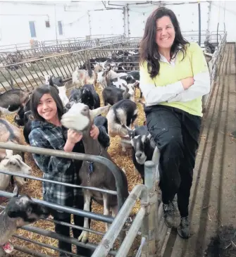  ??  ?? Selon Pascale Martin, quitter la ville et revenir à la ferme, c’est comme retrouver un grand ami qu’on n’a pas vu depuis longtemps. Pour son fils Nathan, 12 ans, c’est voir sa vie enrichie.