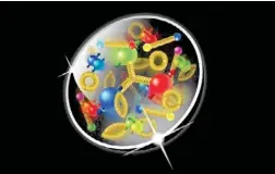  ??  ?? Graphical representa­tion of the proton. The large spheres represent the three valence quarks, the small spheres represent the other quarks that make up the proton, and the springs represent the nuclear force holding them together. (Image by Brookhaven National Laboratory)