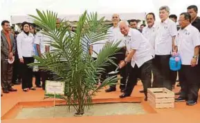  ?? PIC BY ROSLIN MAT TAHIR ?? Prime Minister Datuk Seri Najib Razak planting an oil palm at the Malaysian palm oil industry’s 100th anniversar­y celebratio­n at Tennamaram Estate yesterday.