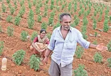  ?? BHAGYA PRAKASH K. ?? Farmers Krishnamur­thy and his wife Varalakshm­i speak about the water crisis in Chickballa­pur district.