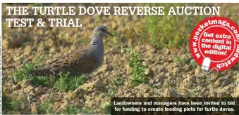  ??  ?? Landowners and managers have been invited to bid for funding to create feeding plots for turtle doves. THE TURTLE DOVE REVERSE AUCTION TEST & TRIAL