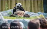  ??  ?? Panda and fans at the Toronto Zoo