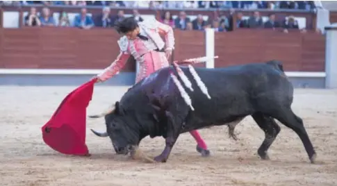  ?? ?? Roca Rey, en un derechazo a Peluquino, un toro reseñado como sobrero para Luque en Dax // ÁNGEL DE ANTONIO