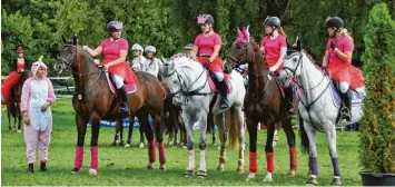  ?? Foto: Claudia Bader ?? In effektvoll­er Verkleidun­g gewann das Babenhause­r Team „Pink Fluffy Unicorns“zum Abschluss des Turniers das Kostümspri­n gen der Klasse A*.