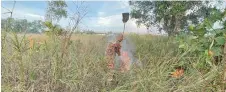  ?? ?? A firefighte­r puts out the bushfire near an army camp at Jalan Miri Airport Wednesday afternoon.