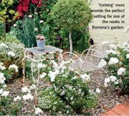  ??  ?? ‘Iceberg’ roses provide the perfect setting for one of the nooks in Ramona’s garden.