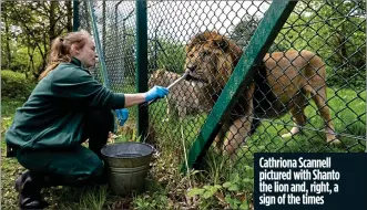  ??  ?? Cathriona Scannell pictured with Shanto the lion and, right, a sign of the times